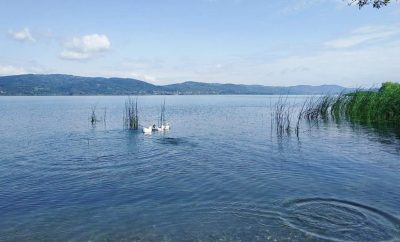 Sapanca Gölü Hakkında Bilinmesi Gerekenler